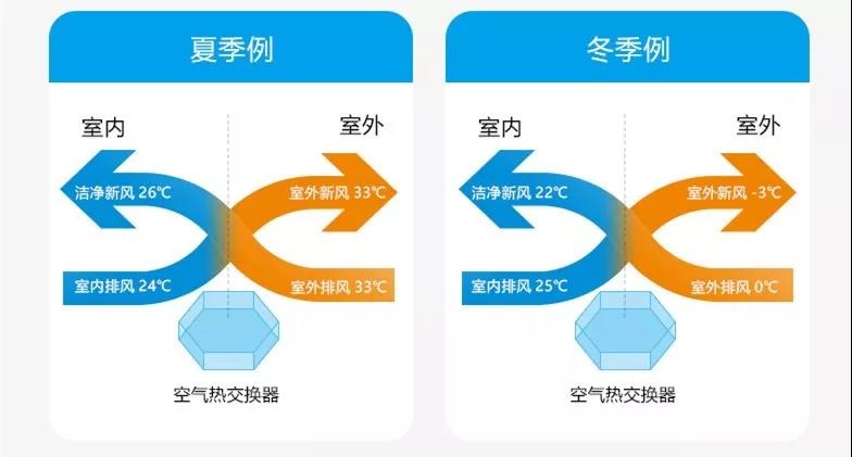 新澳门原料网1688茄子